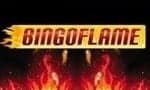bingo flame logo