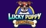 Lucky-Puppy-Bingo-logo# cheeky bingo logo