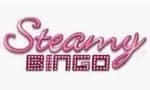 steamy bingo logo