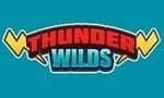 thunder wilds logo