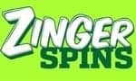 zinger spins logo
