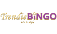 Bingocams logo