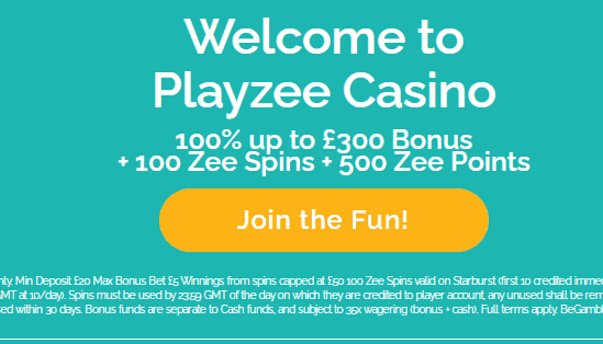 playzee 480 image