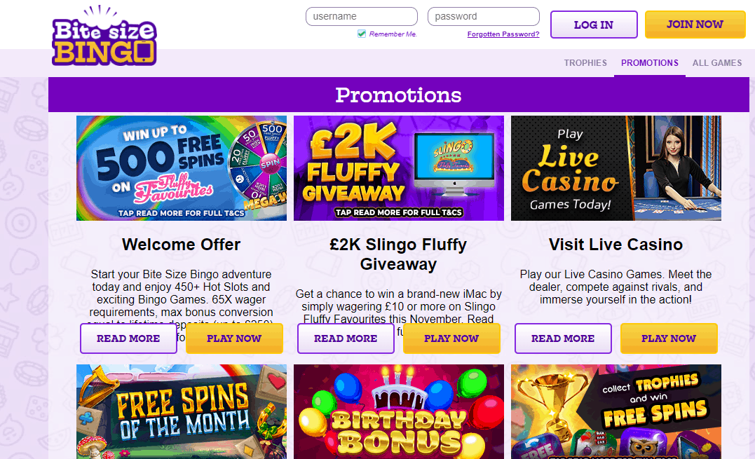 Bite Size Bingo promotion