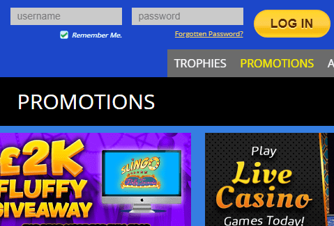 Empire Bingo Login Empire Bingo Login