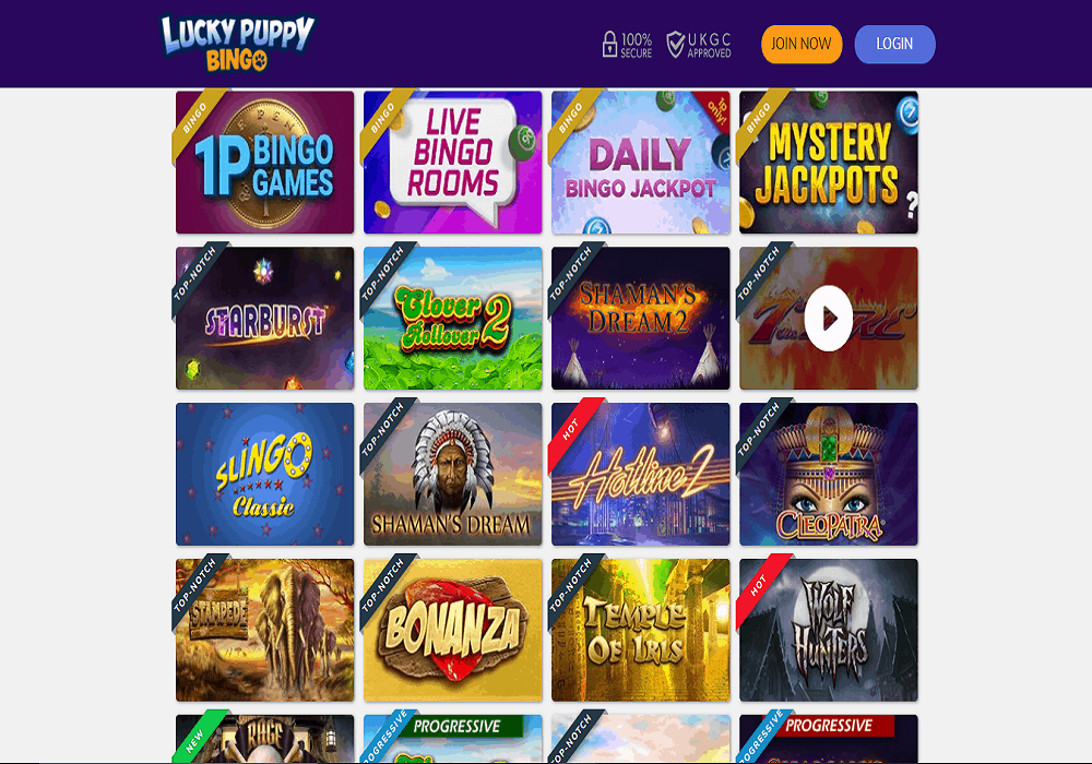 LuckyPuppyBingo game Cheeky Bingo games page