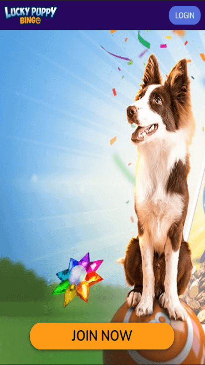 LuckyPuppyBingo home mobile LuckyPuppyBingo home mobile