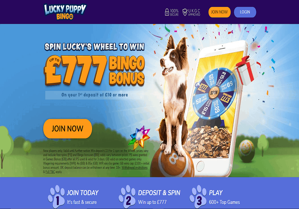 LuckyPuppyBingo home Cheeky Bingo home page