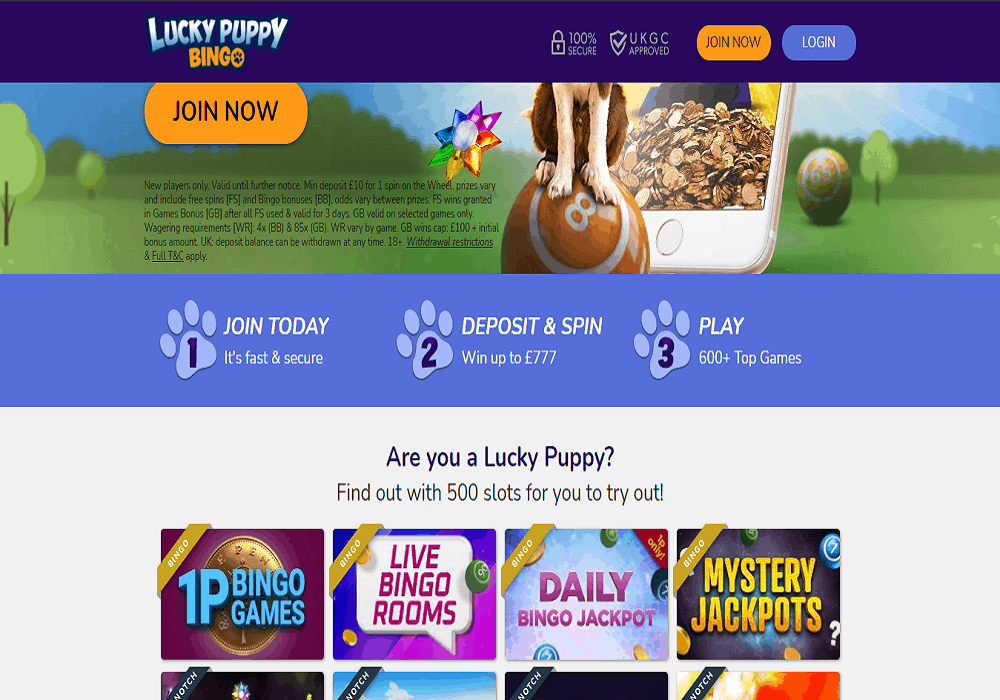 LuckyPuppyBingo pomo cheeky bingo promotions page