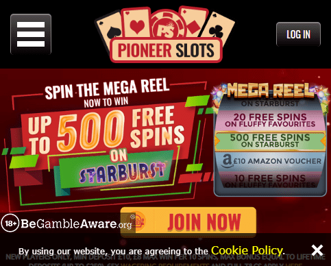 Pioneer Slots 480