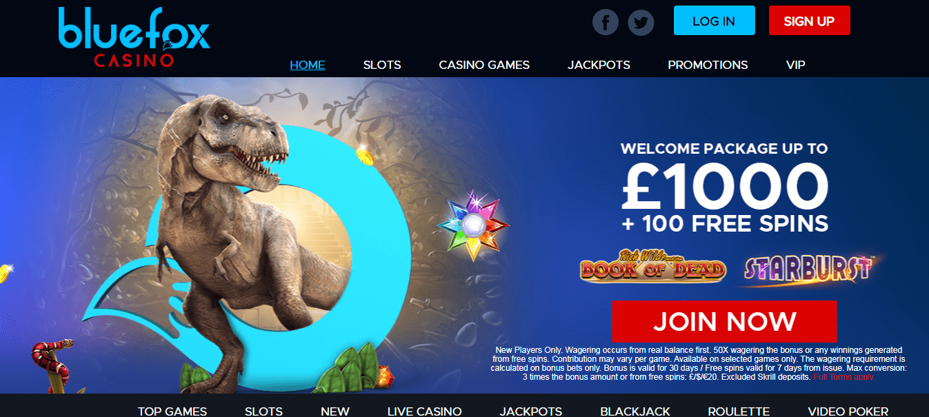 Blue Fox Casino Homepage Blue Fox Casino Homepage
