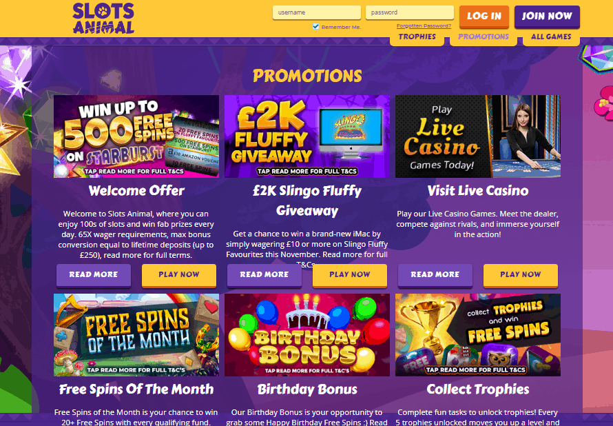 Slots Animal promotions Slots Animal promotions