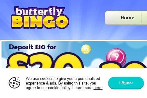 butterfly bingo front image