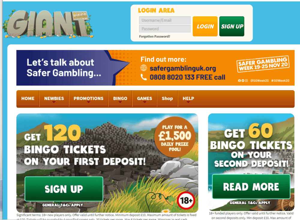 giant bingo home