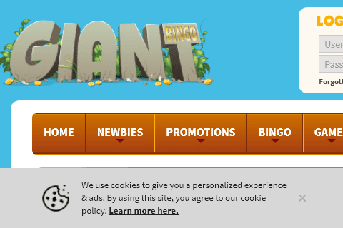 giant bingo 480 image