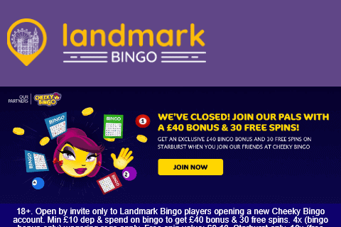 cheeky bingo 480 image