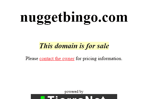 nugget bingo front image