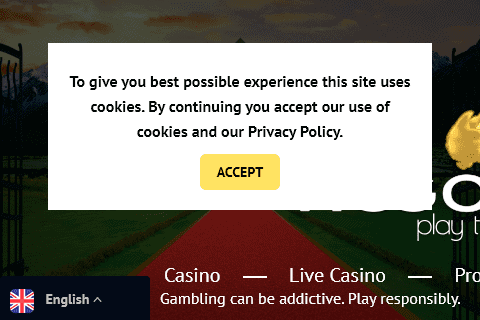 viggo slots front image