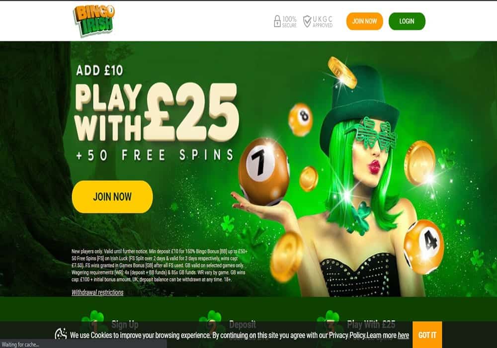 bingo irish home
