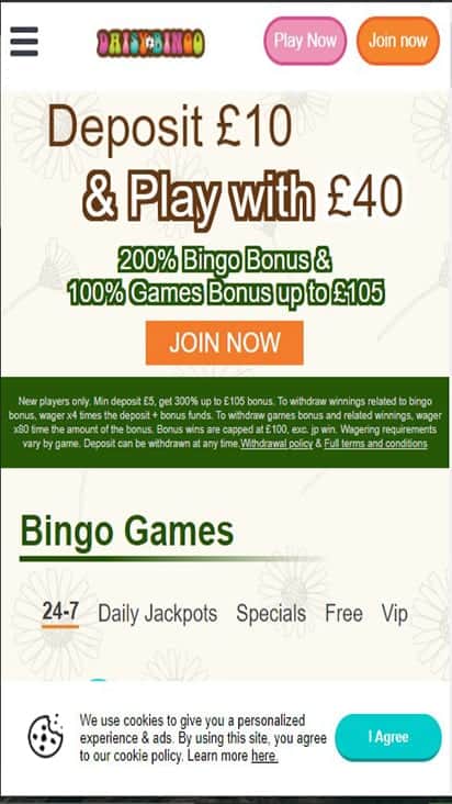 daisy bingo home mobile daisy bingo home mobile