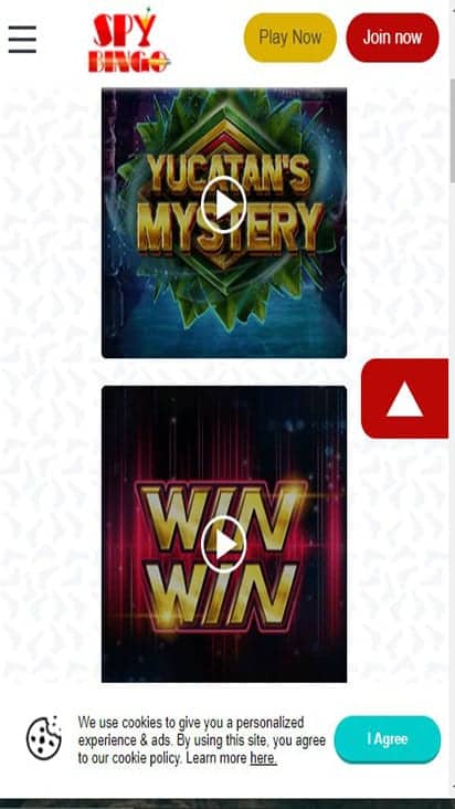 spy bingo game mobile