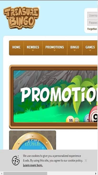 treasure bingo promo mobile0