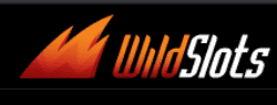 wildslots_logo green play
