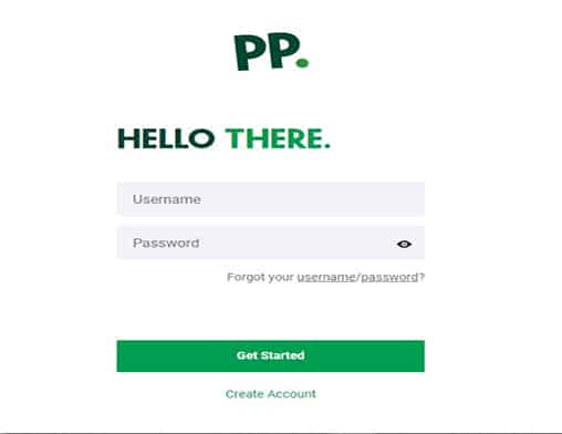 Paddy Power login Buzz Bingo login page