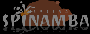 spin amba logo