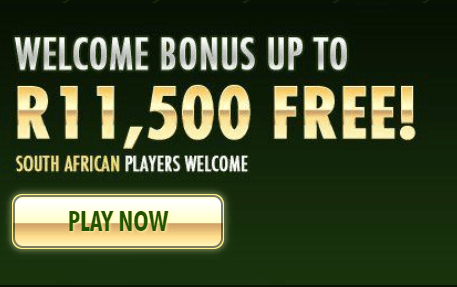 springbok casino front image
