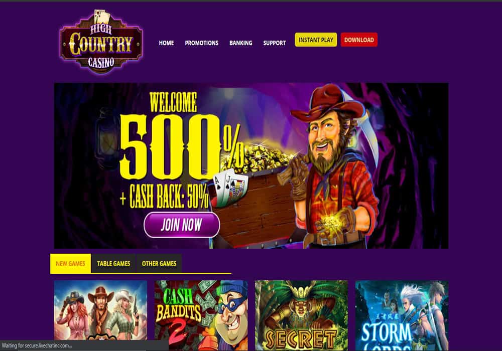 buzz bingo front image