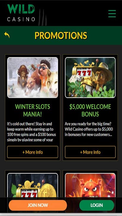 Wild Casino promo mobile
