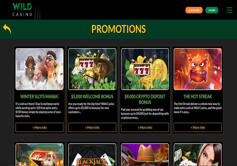 Buzz Bingo promotions page