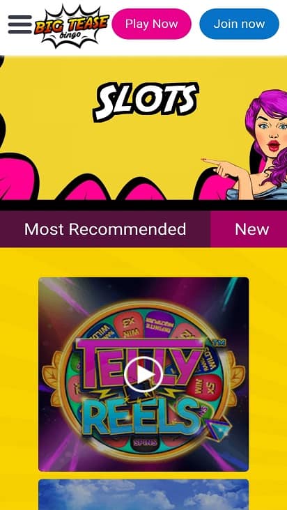 Big tease bingo games page
