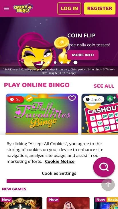 Cheeky bingo home page