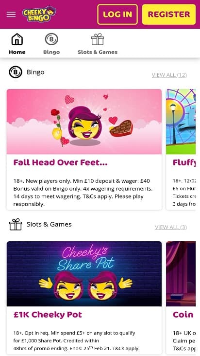 Cheeky bingo promotions page