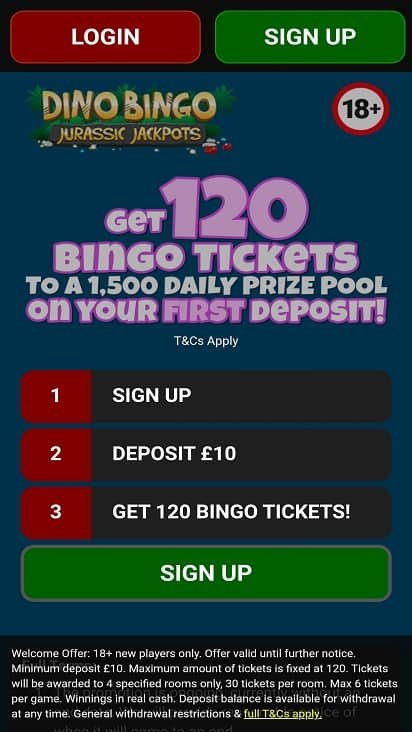 Dino bingo home page