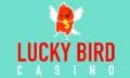 lucky birdc asino-logo