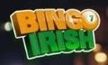 Bingo-Irish-logo#