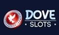 Dove-slots-logo#