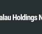 palau-holdings-logo