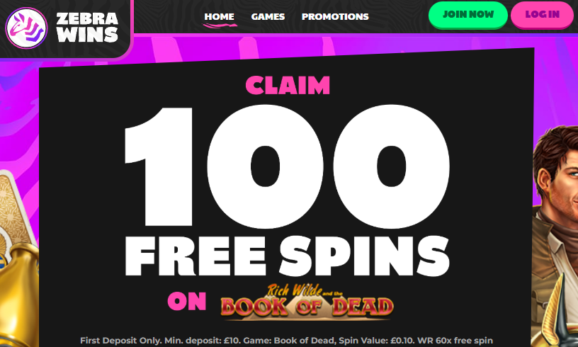 zebra wins homepage