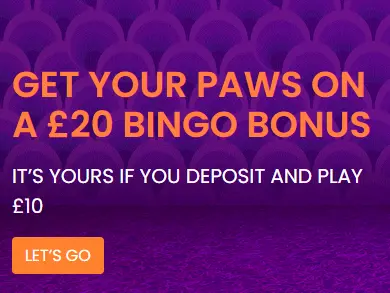 Foxy Bingo Welcome Offer